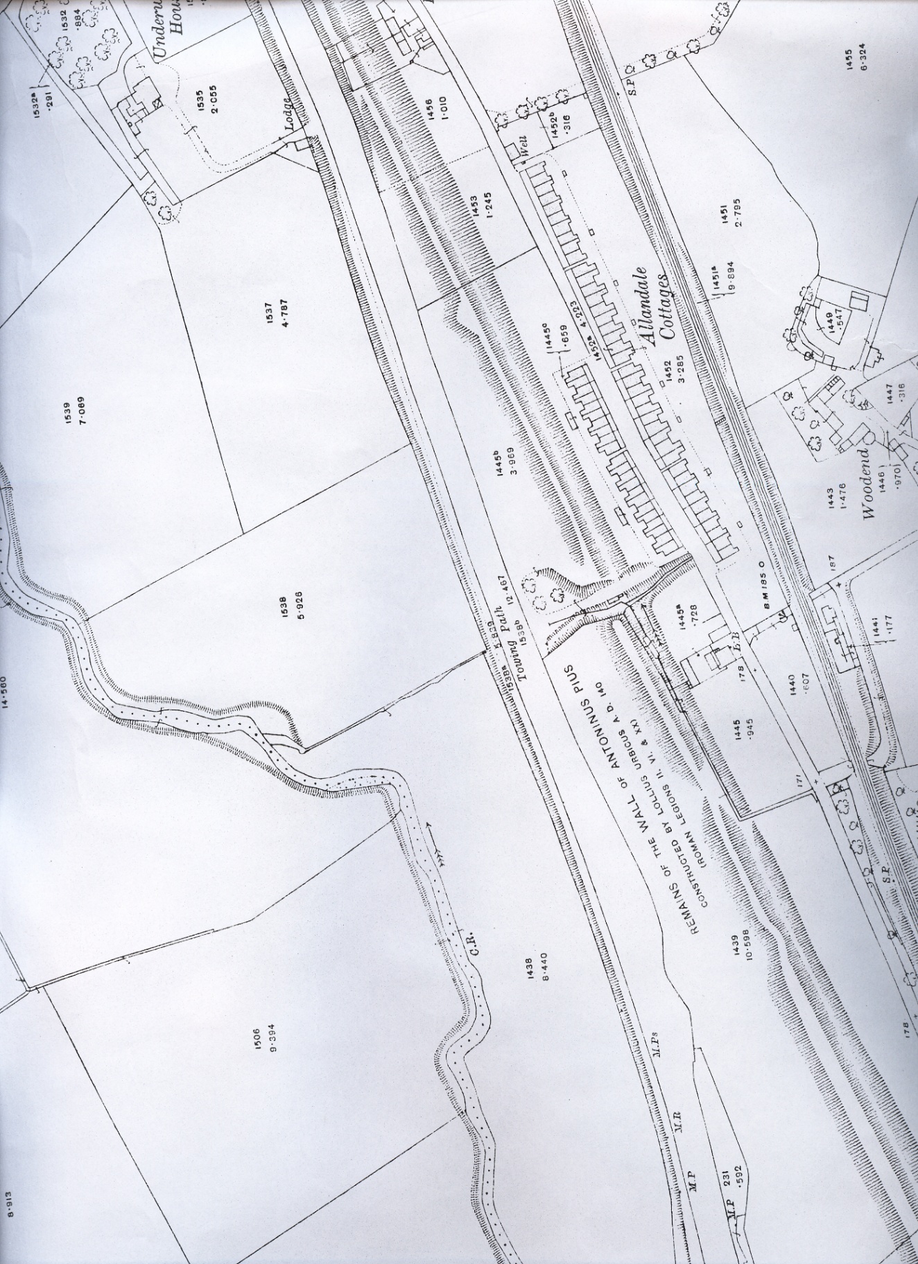 Mappa dettagliata dell'area dei Cottage di Allandale